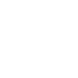 No Image Loaded