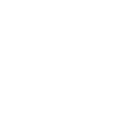 No Image Loaded