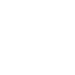 No Image Loaded