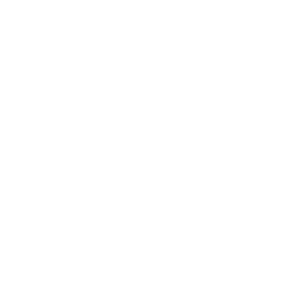 No Image Loaded